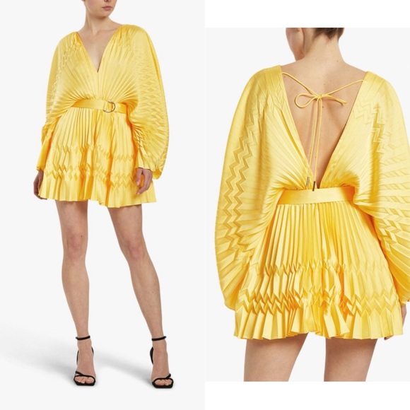 Acler Harrow Long Sleeve Pleated Mini Dress
